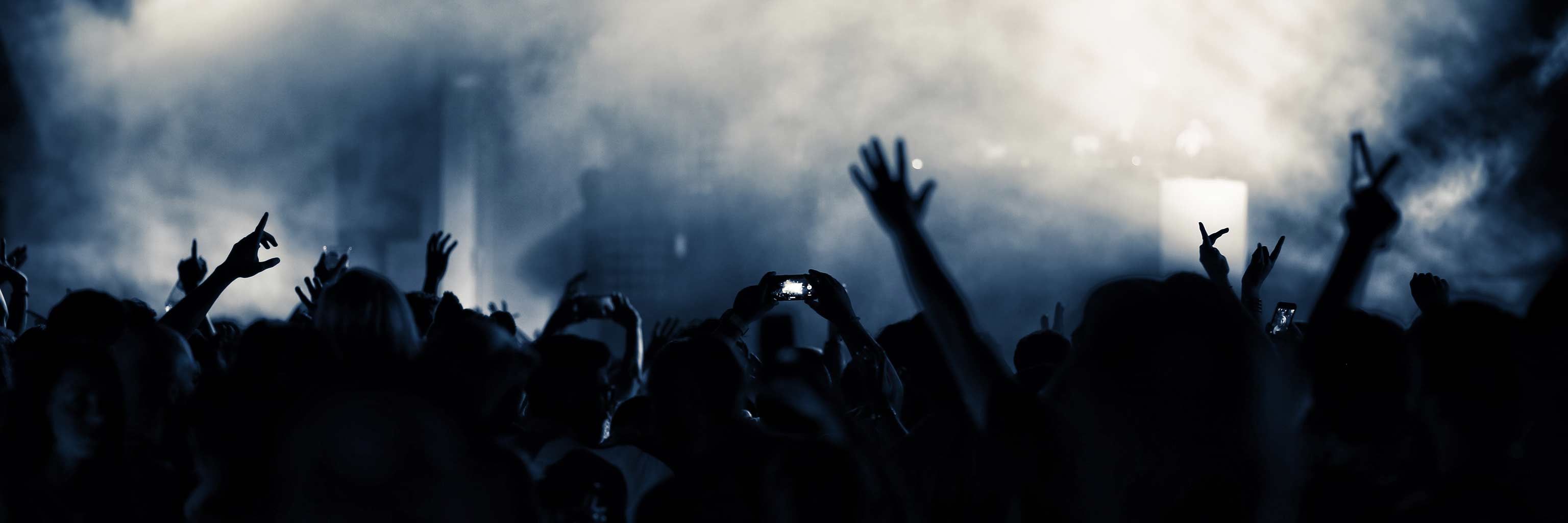 crowd of people at a concert