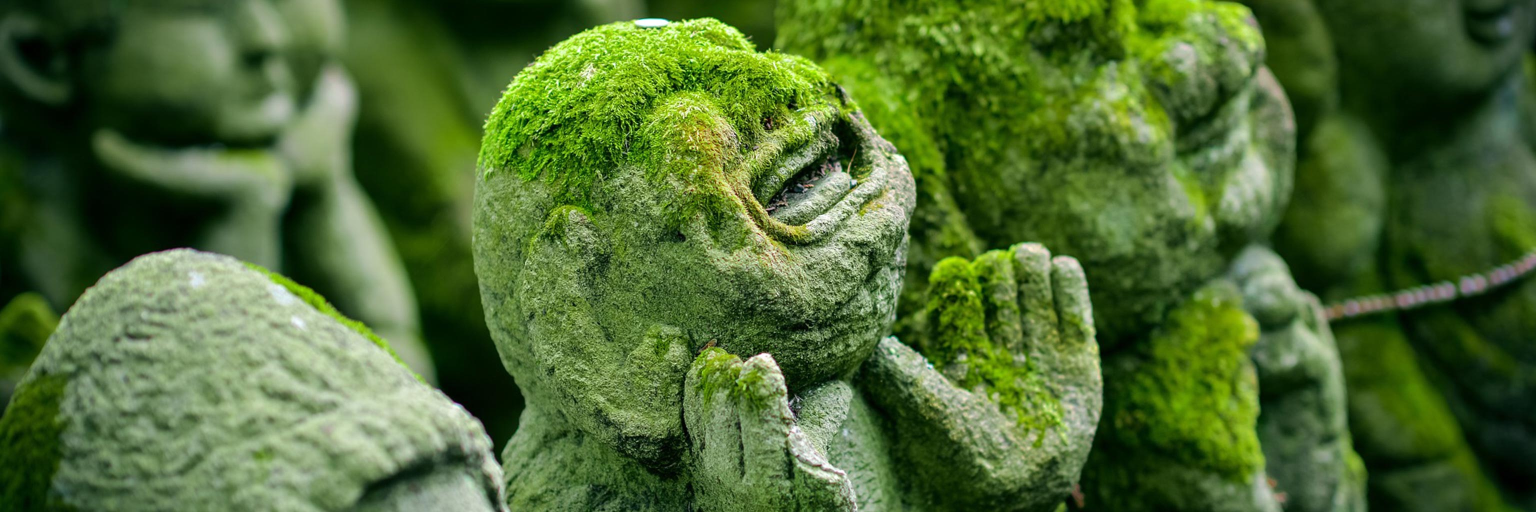 green moss growing on ancient human looking statues